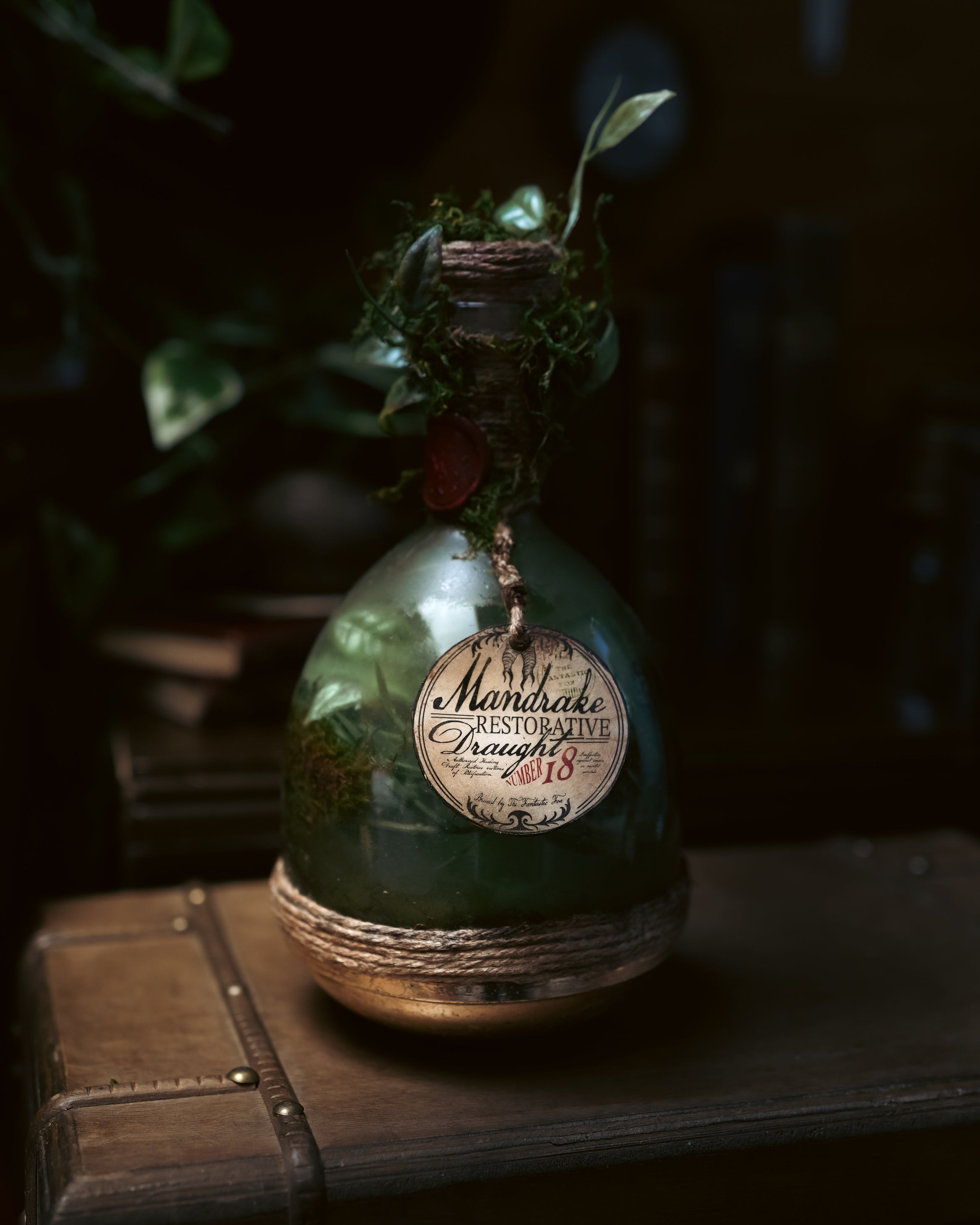 Bottle #009: Mandrake Restorative Draught