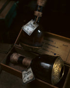 Shapeshifter’s Potion