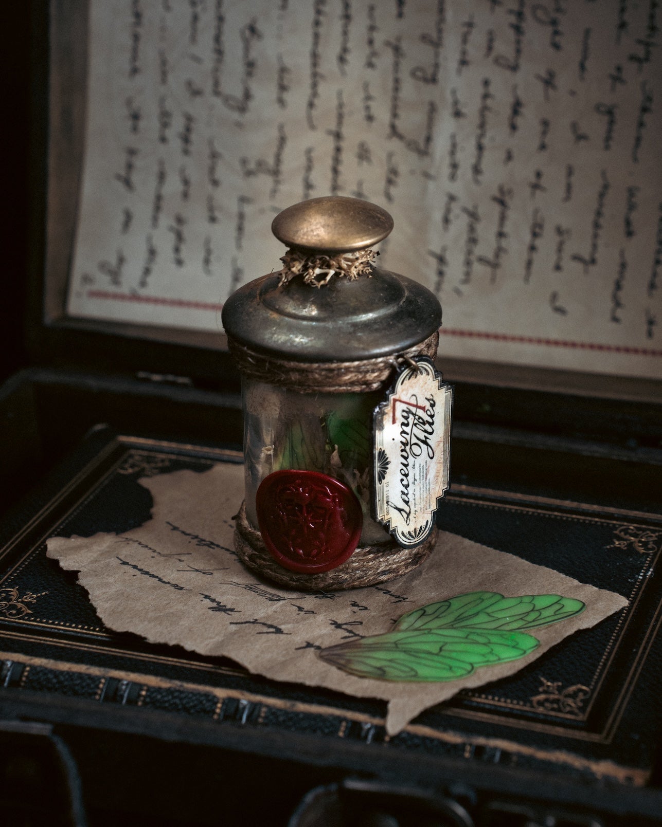 Pocket Potion #013: Lacewing Flies