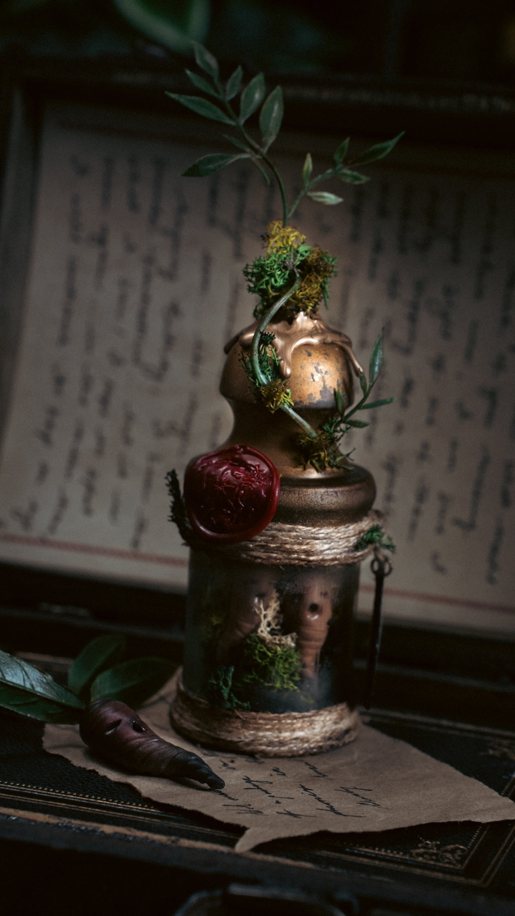 Pocket Potion #012: Mandrake Root