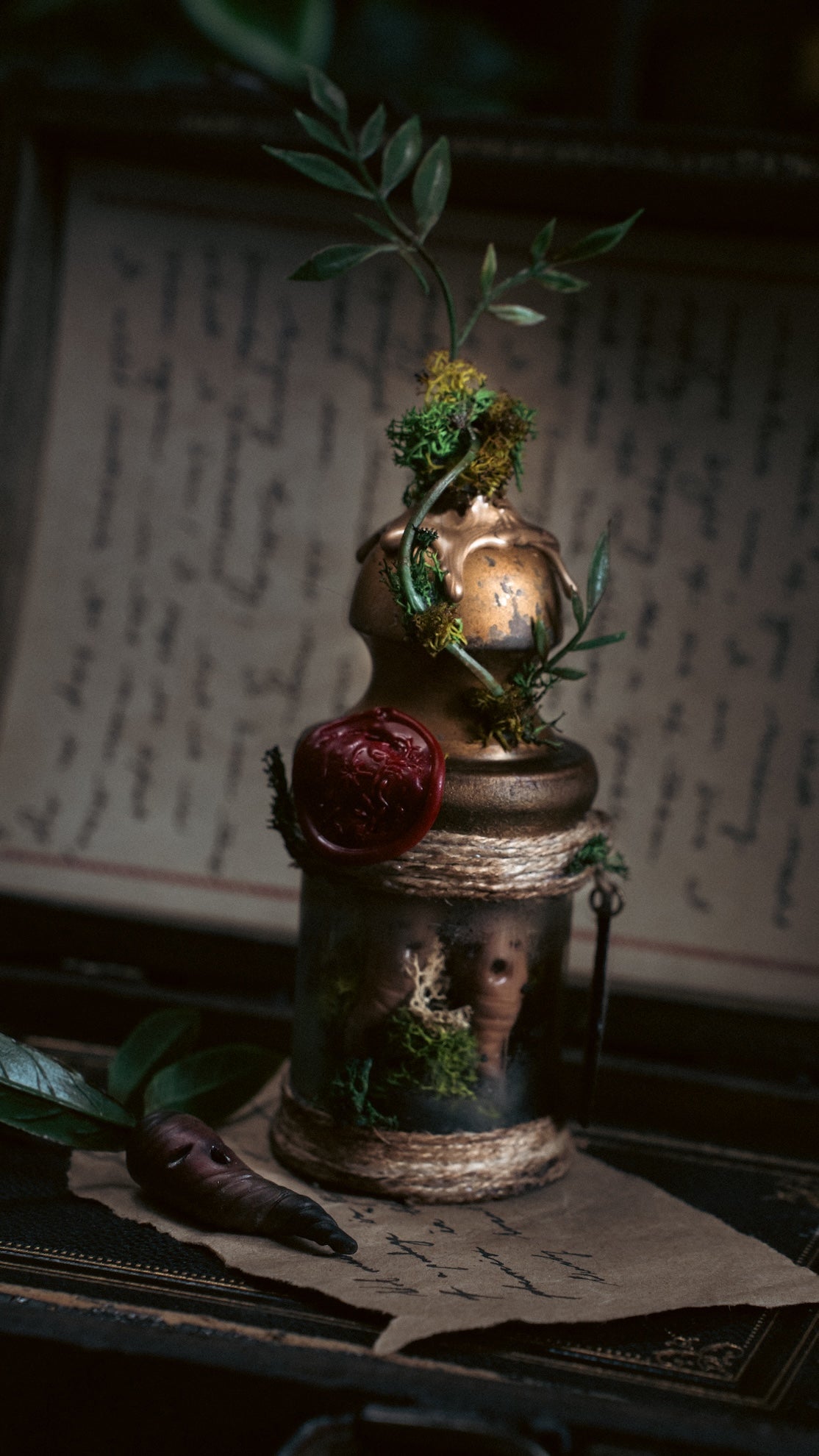 Pocket Potion #012: Mandrake Root