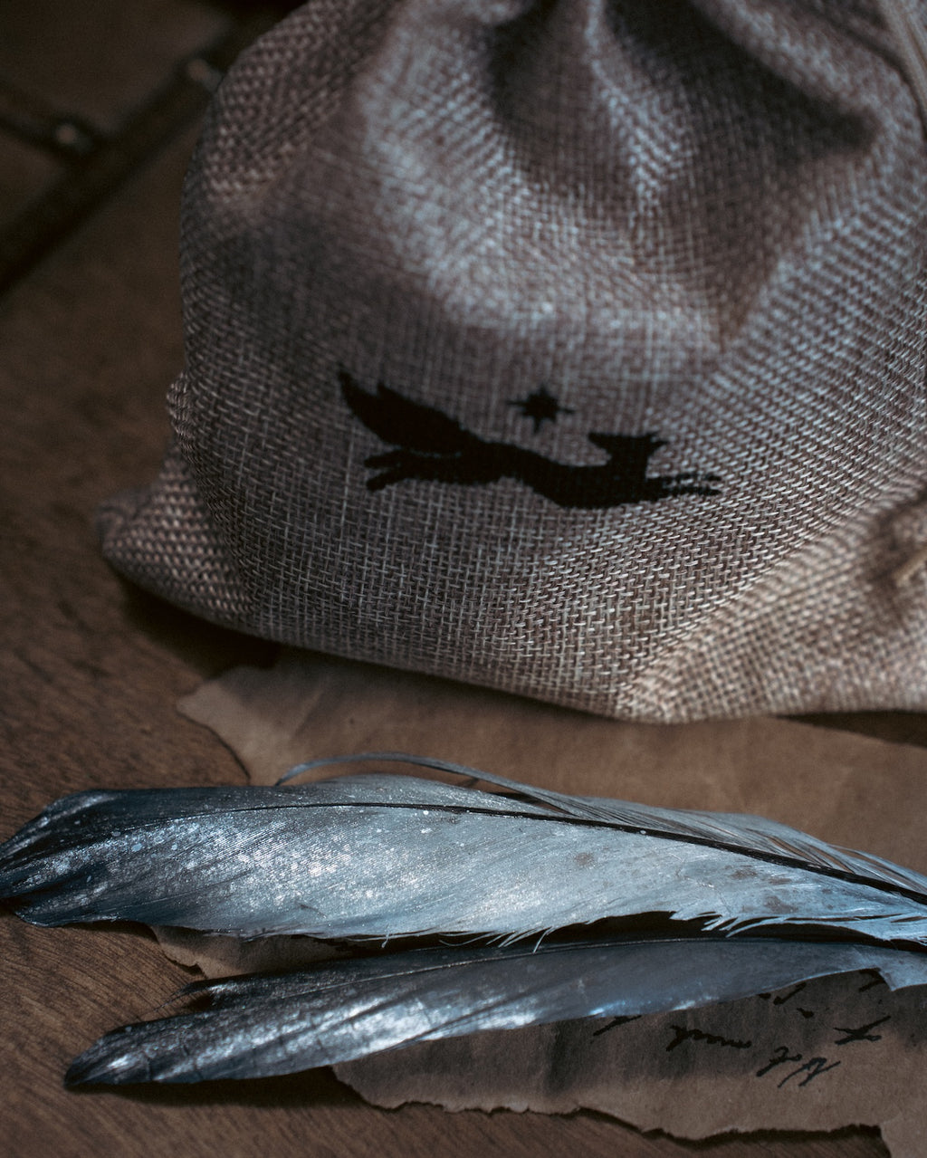 Specimen: Hippogriff Feather