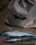 Specimen: Hippogriff Feather