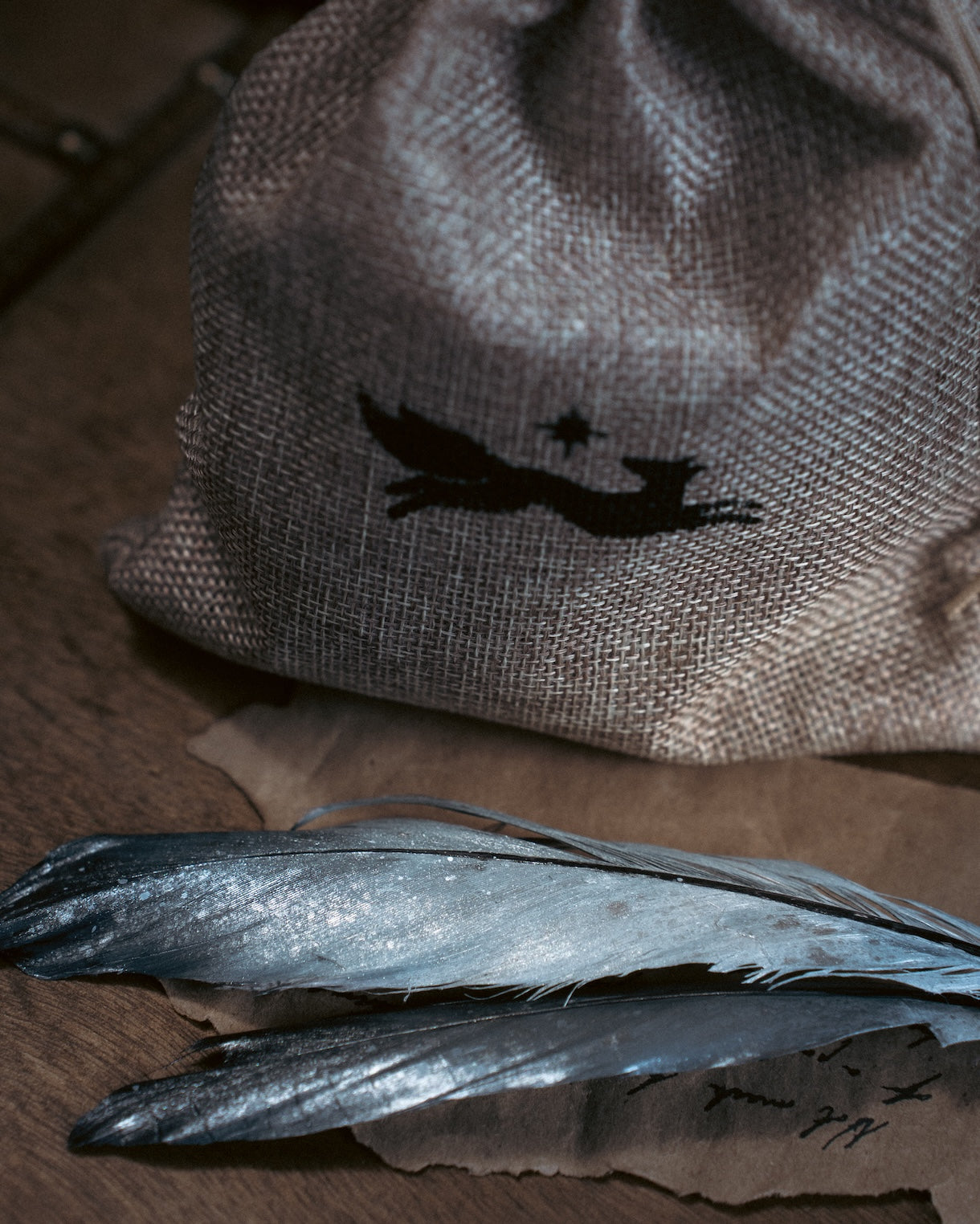 Specimen: Hippogriff Feather