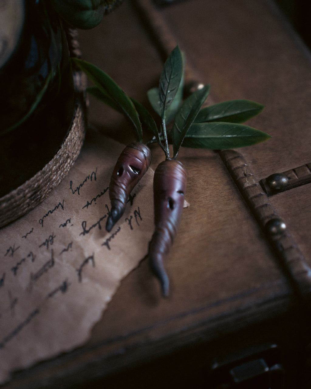 Specimen: Mandrake Root