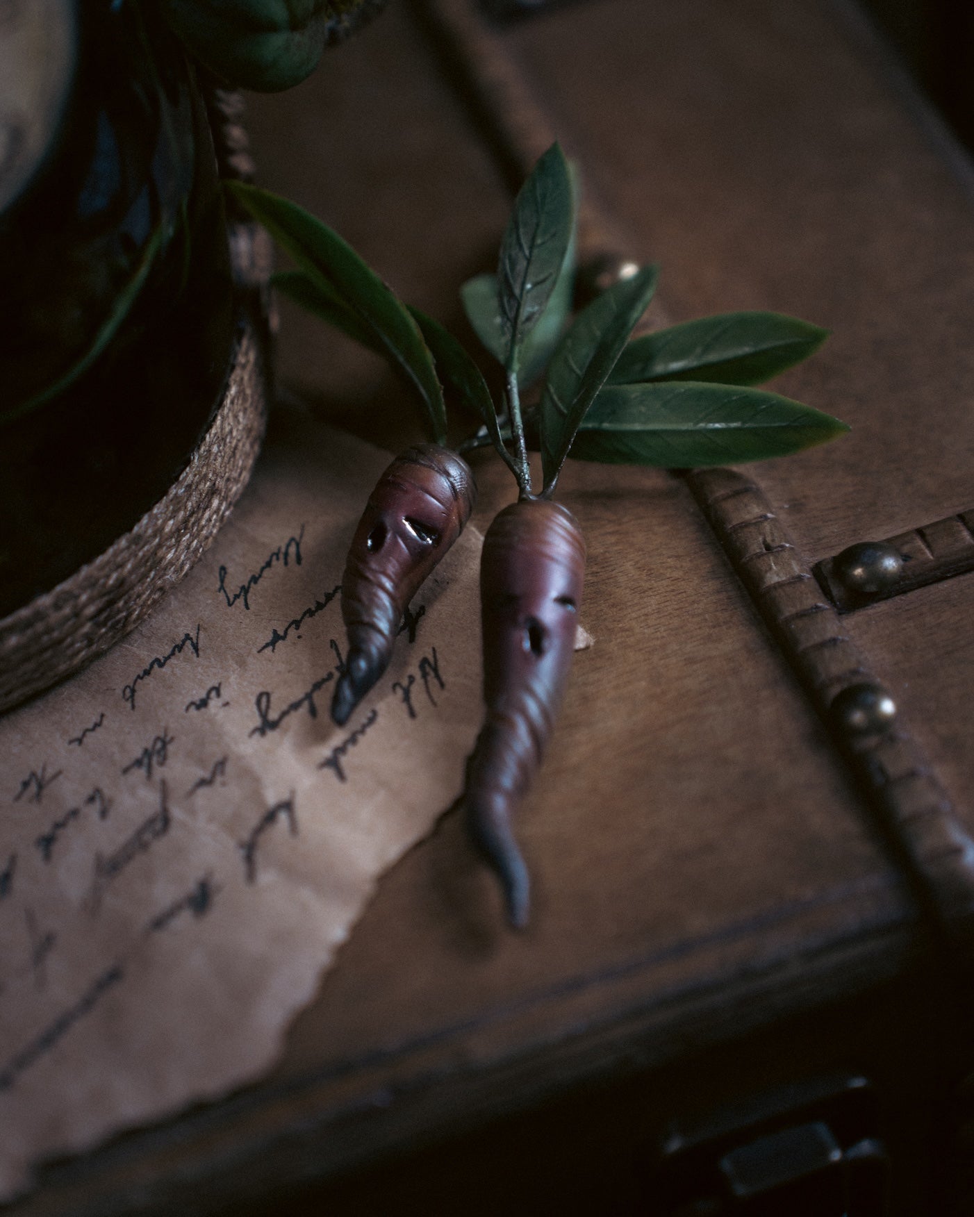 Specimen: Mandrake Root