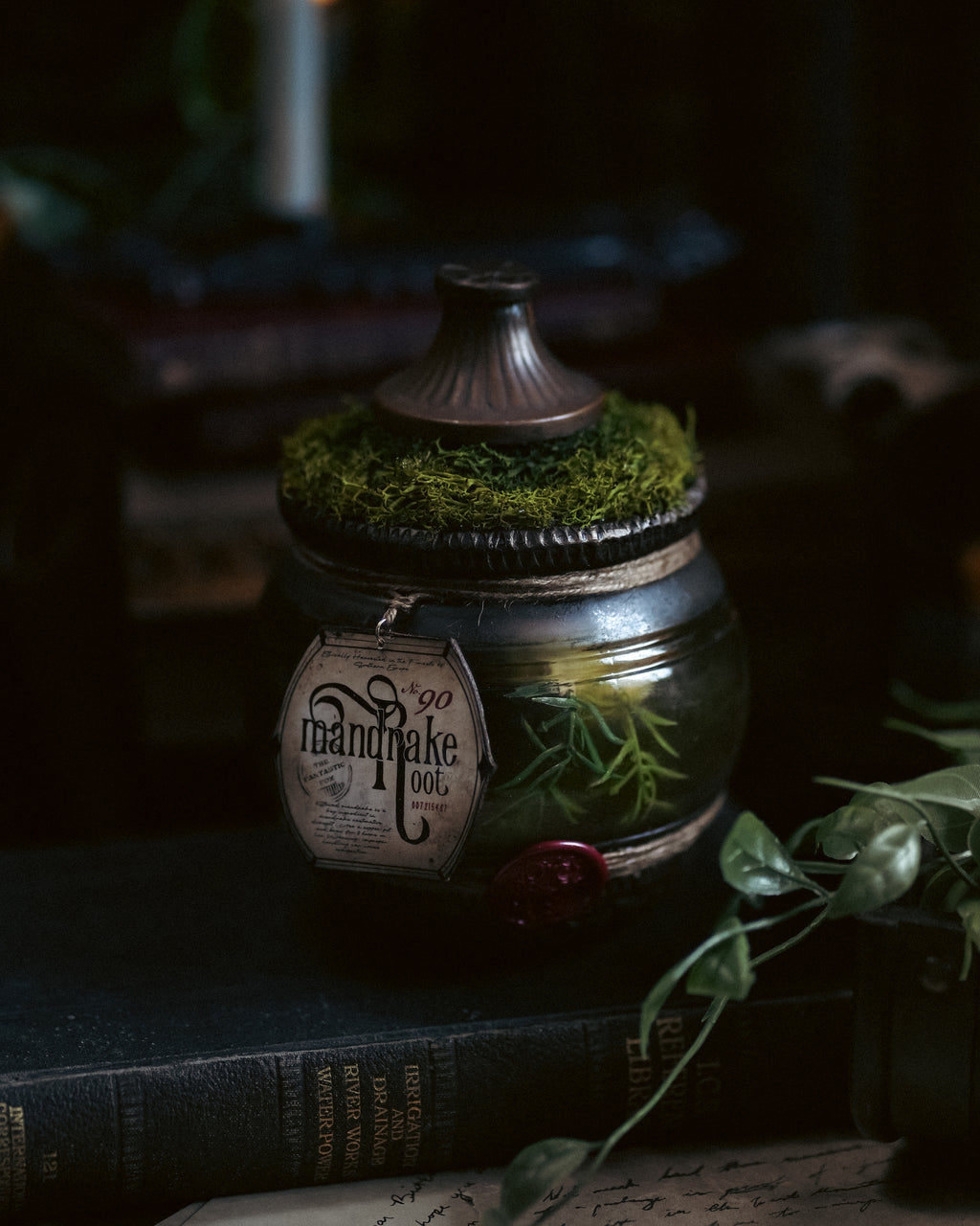 Bottle #047: Mandrake Root