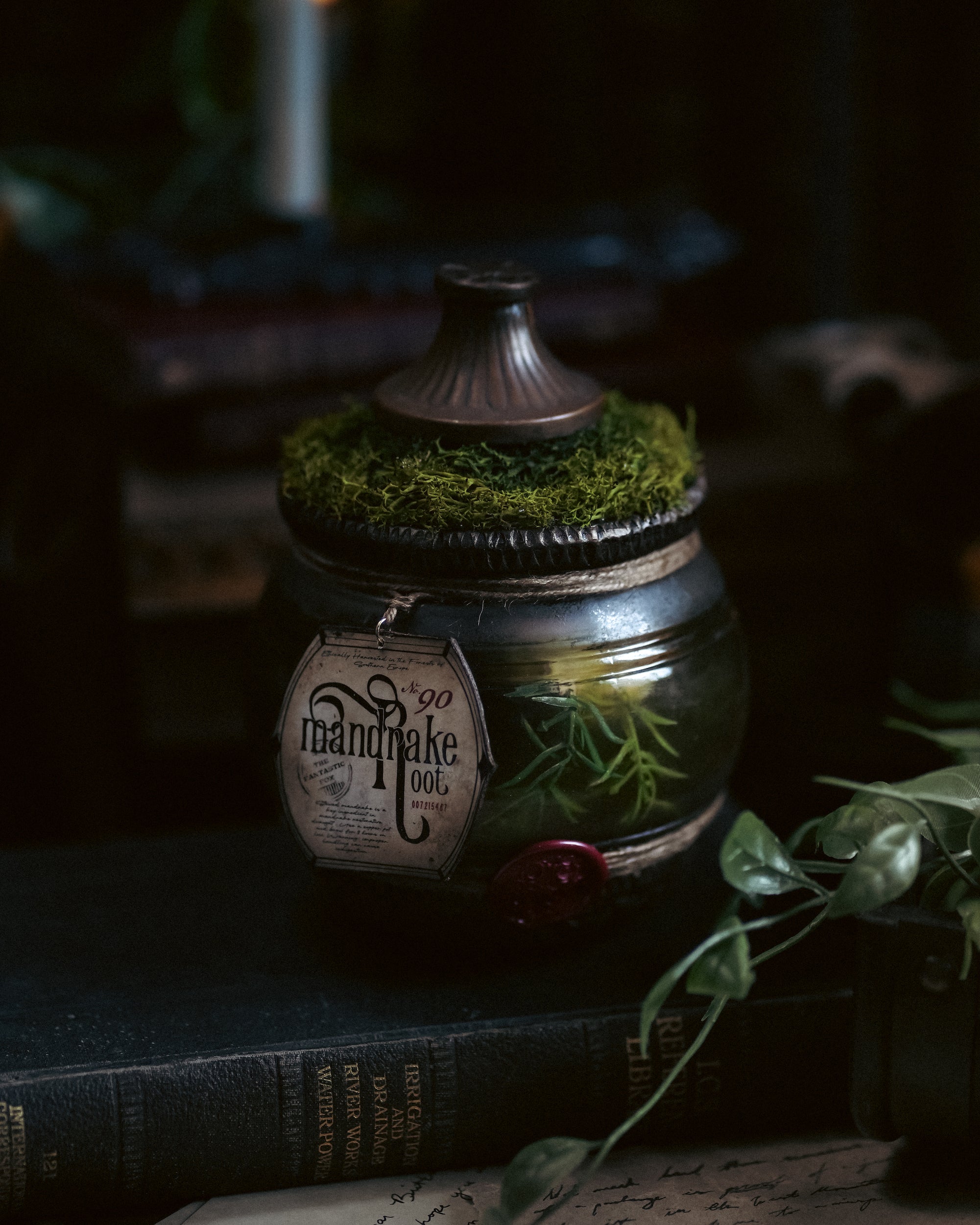 Bottle #047: Mandrake Root