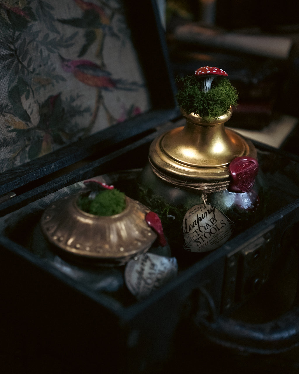 Bottle #31: Leaping Toadstools