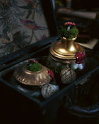 Bottle #31: Leaping Toadstools