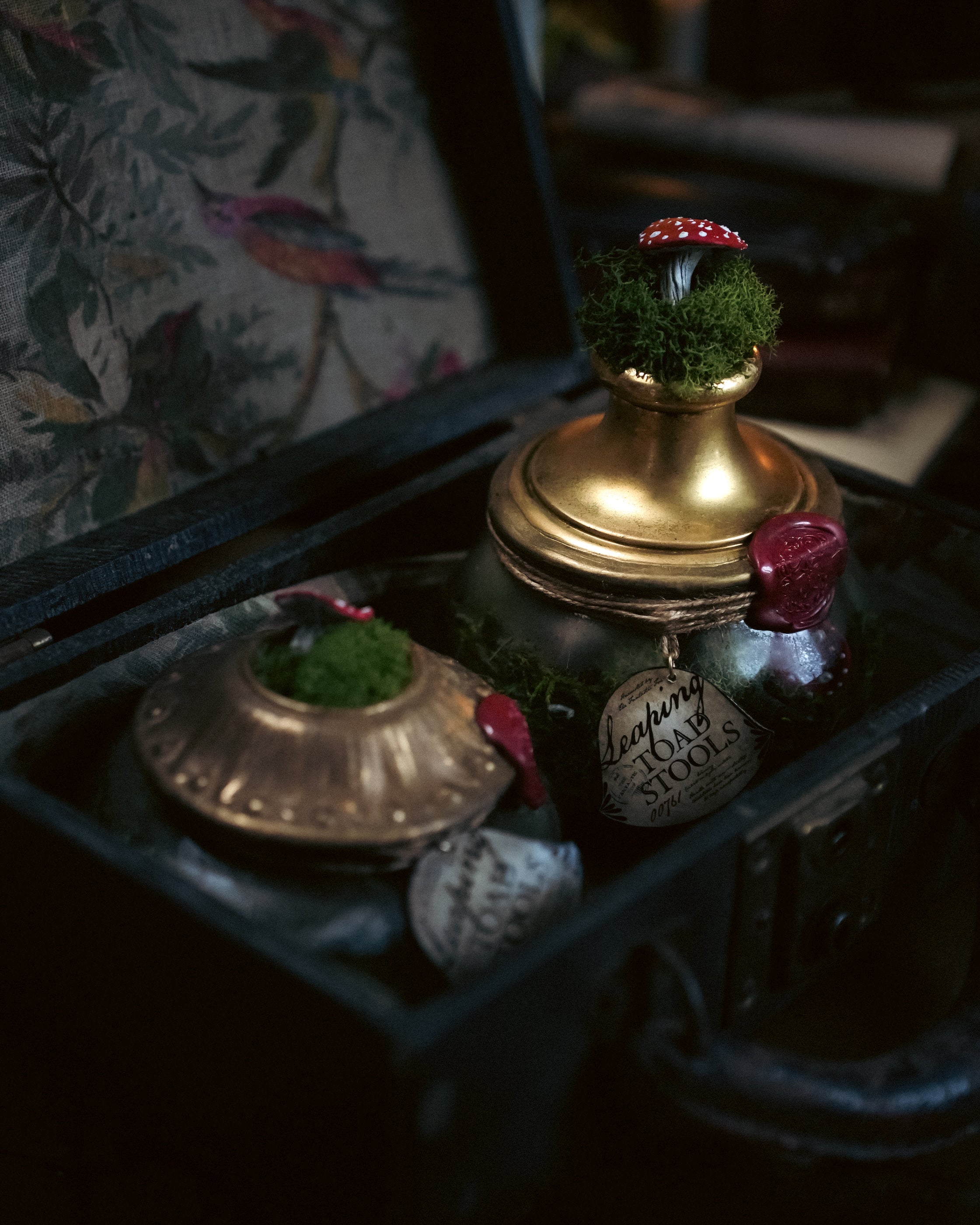 Bottle #31: Leaping Toadstools