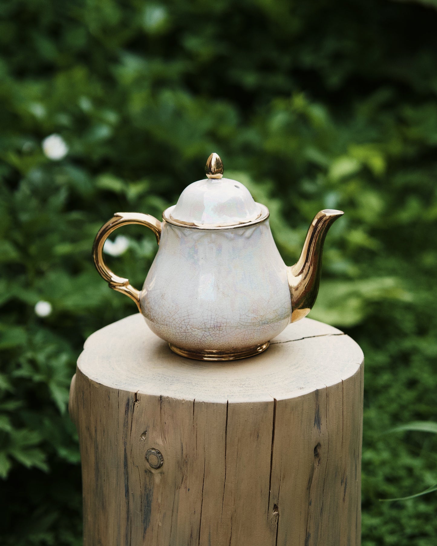 Occamy in Vintage Teapot
