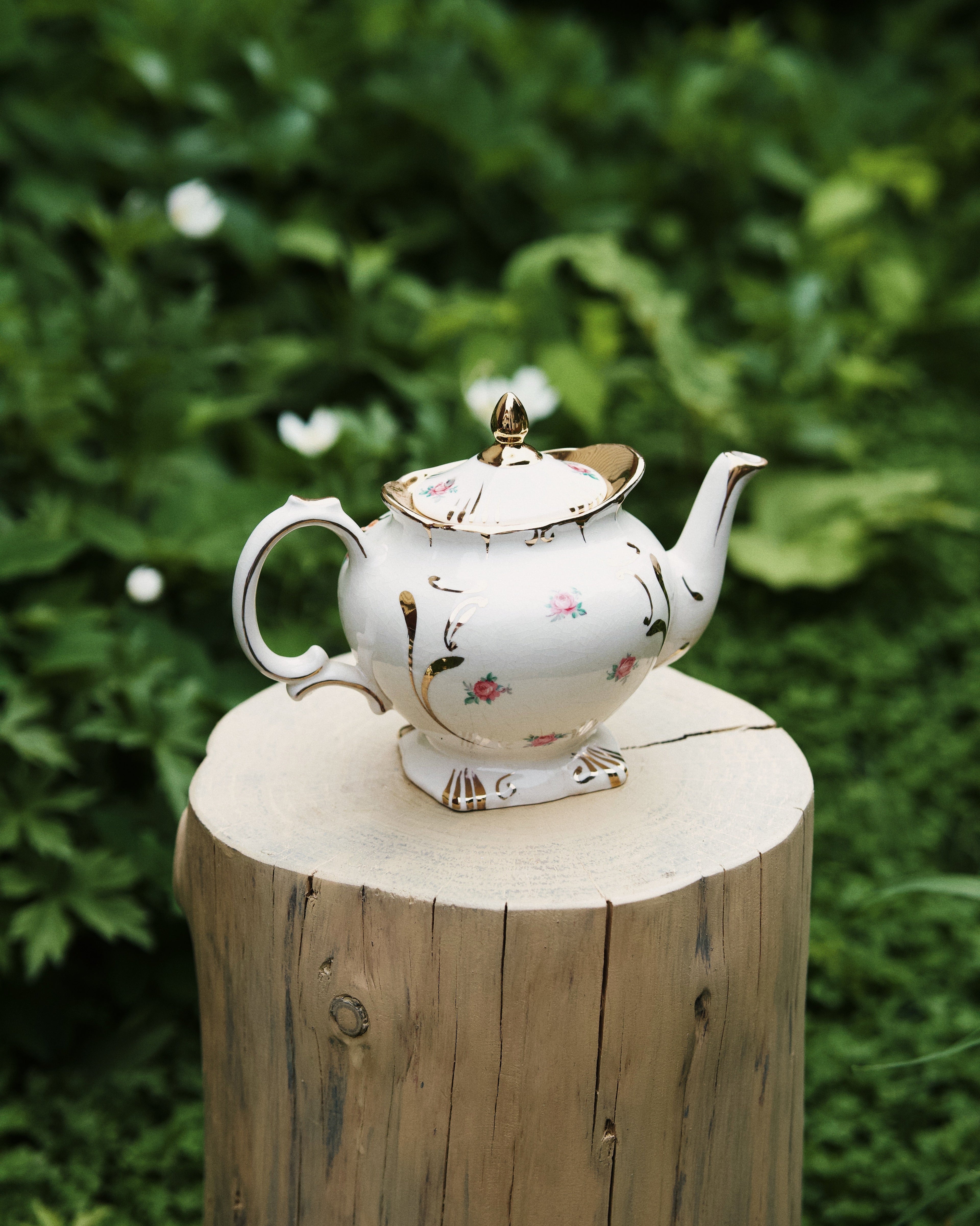Occamy in Vintage Teapot