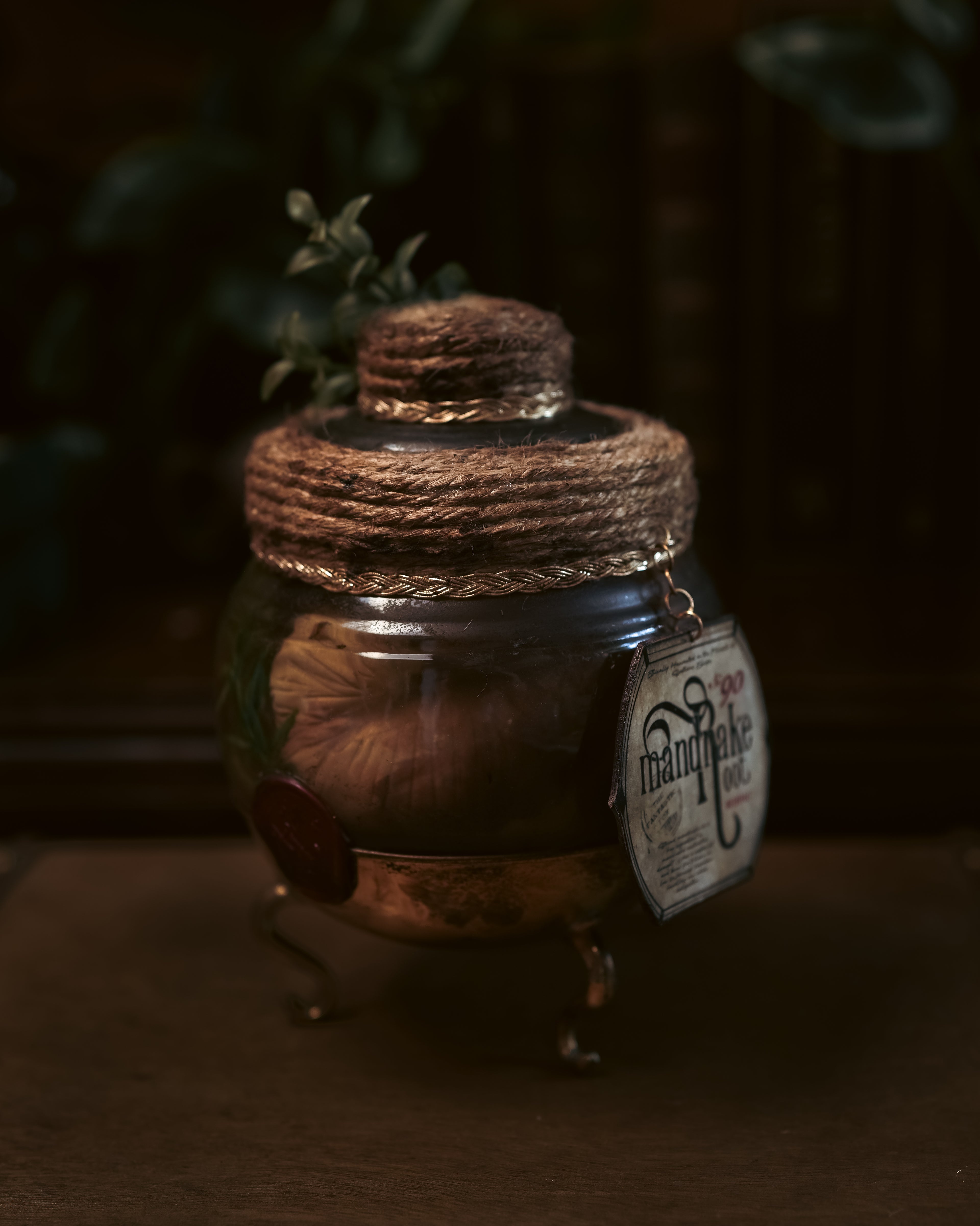 Mandrake Root Specimen | Potion Vault #001