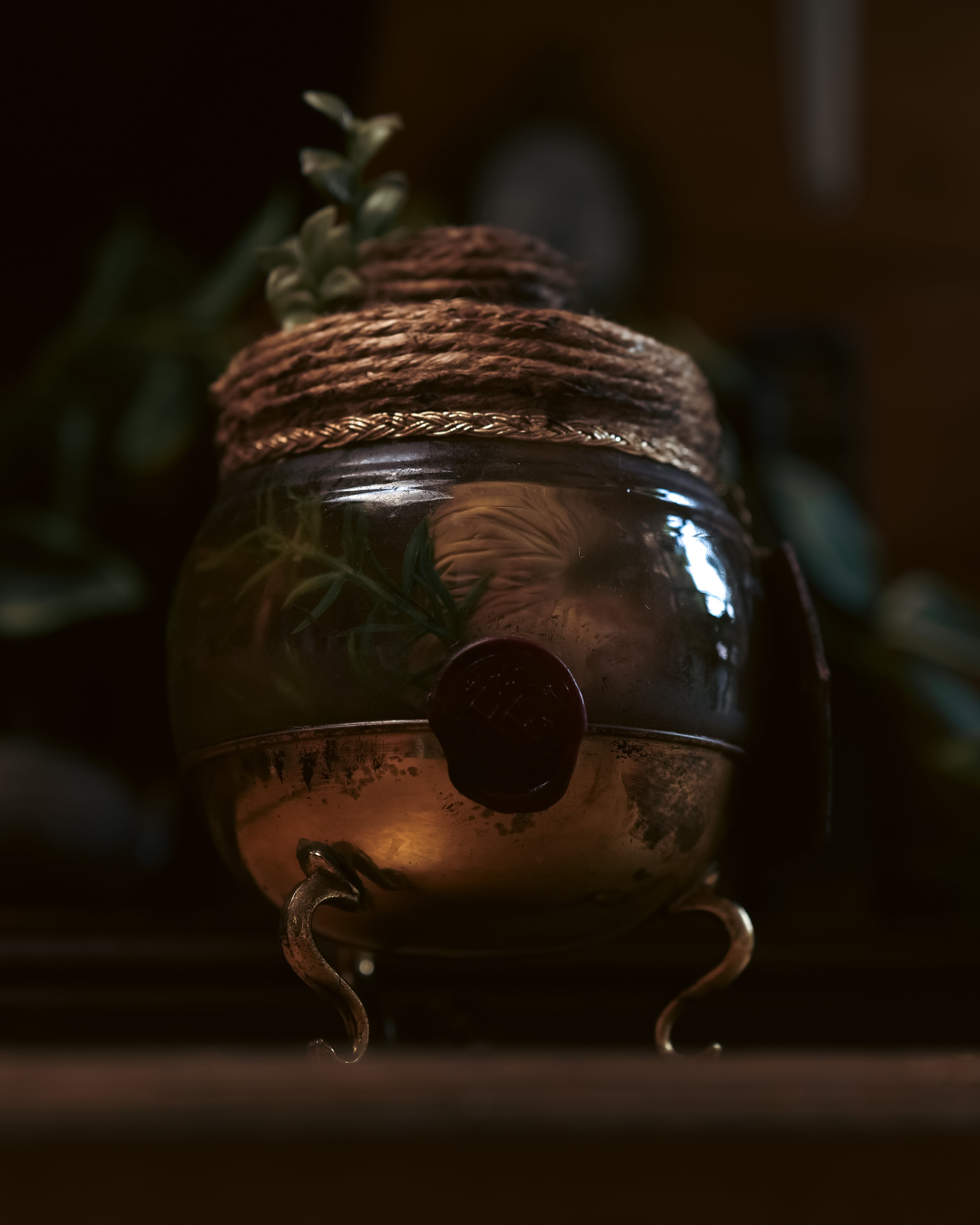 Mandrake Root Specimen | Potion Vault #001
