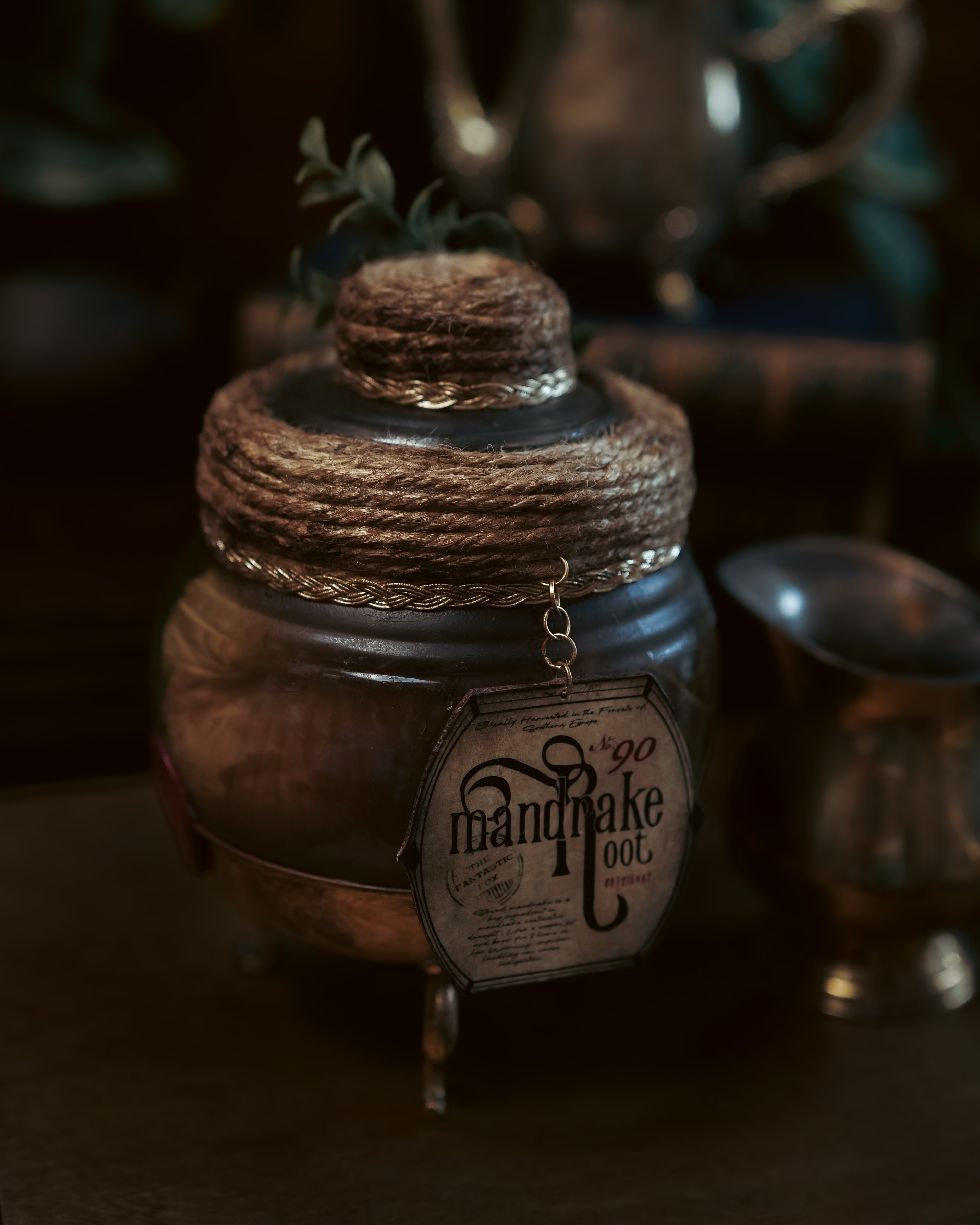 Mandrake Root Specimen | Potion Vault #001