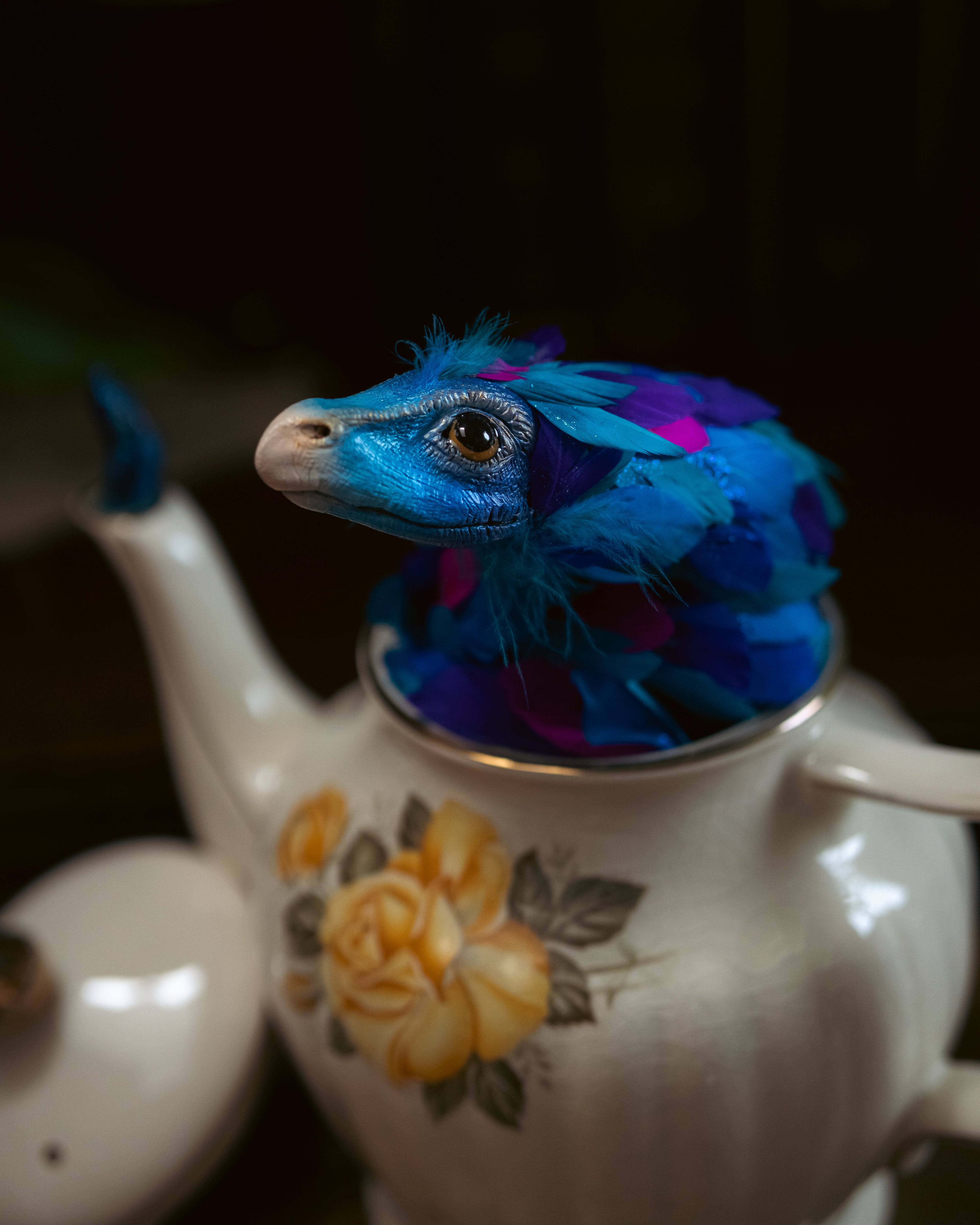 Occamy in Vintage Teapot
