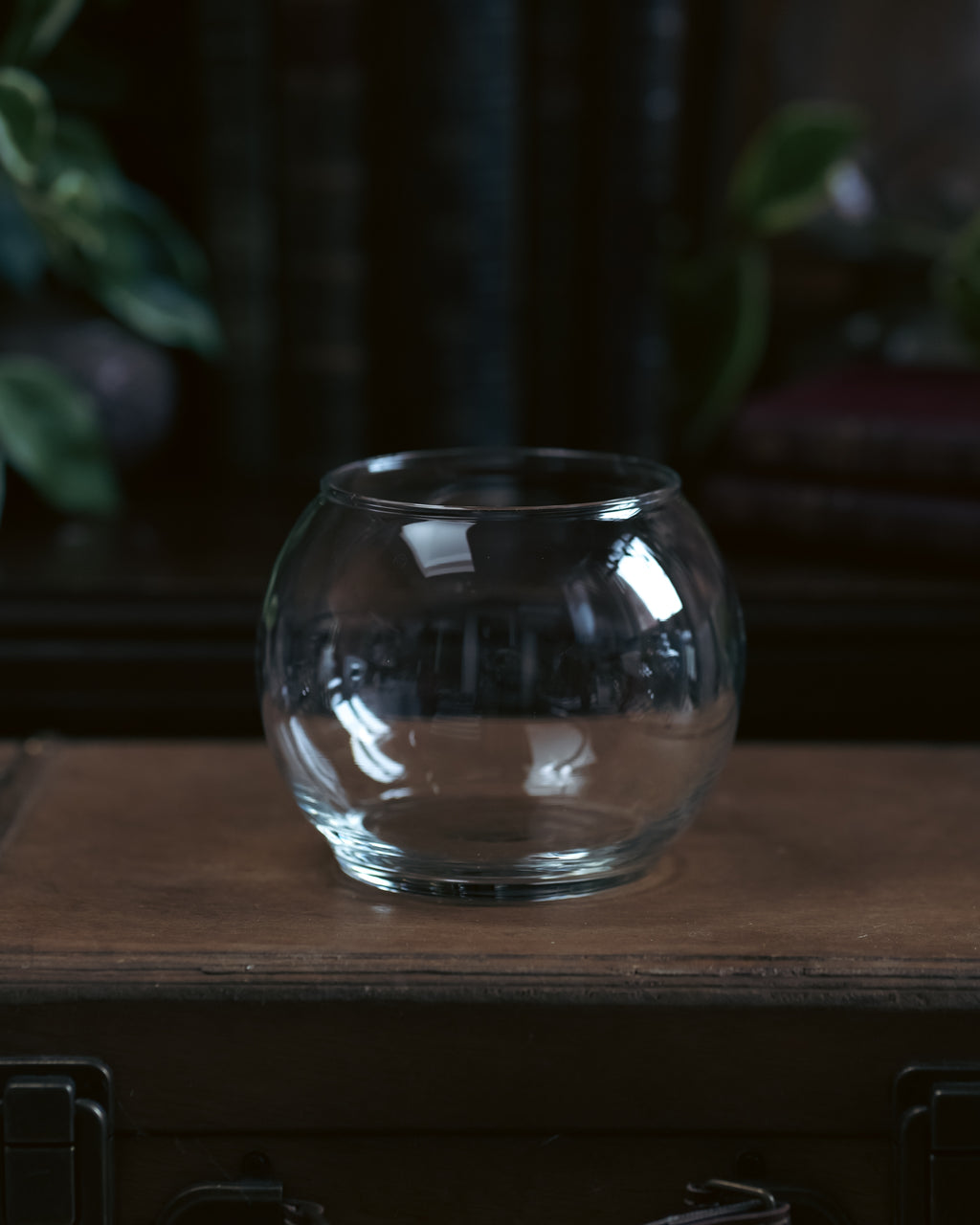 Bottle #29: Leaping Toadstools