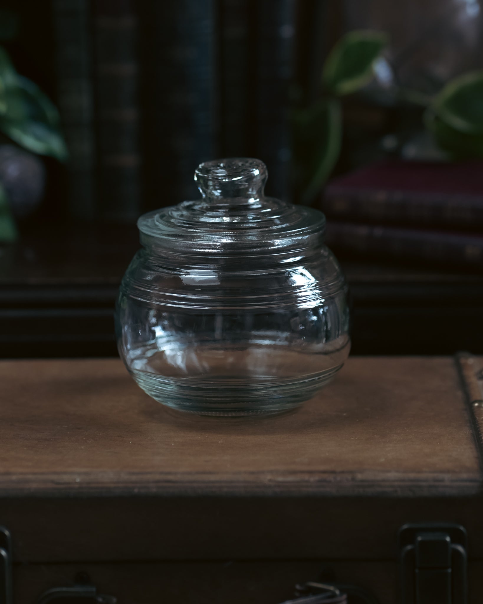 Bottle #047: Mandrake Root