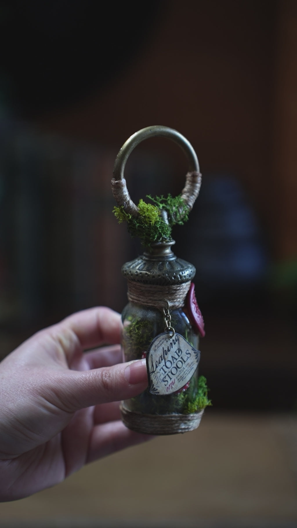 Pocket Potion #023: Leaping Toadstools