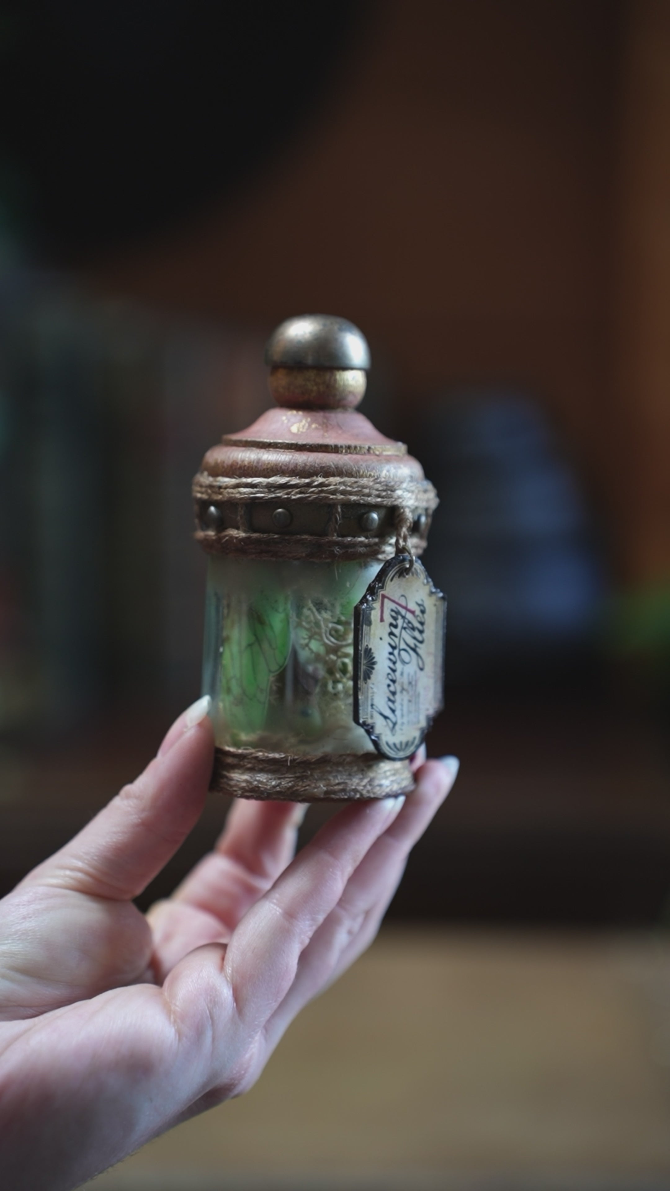 Pocket Potion #015: Lacewing Flies