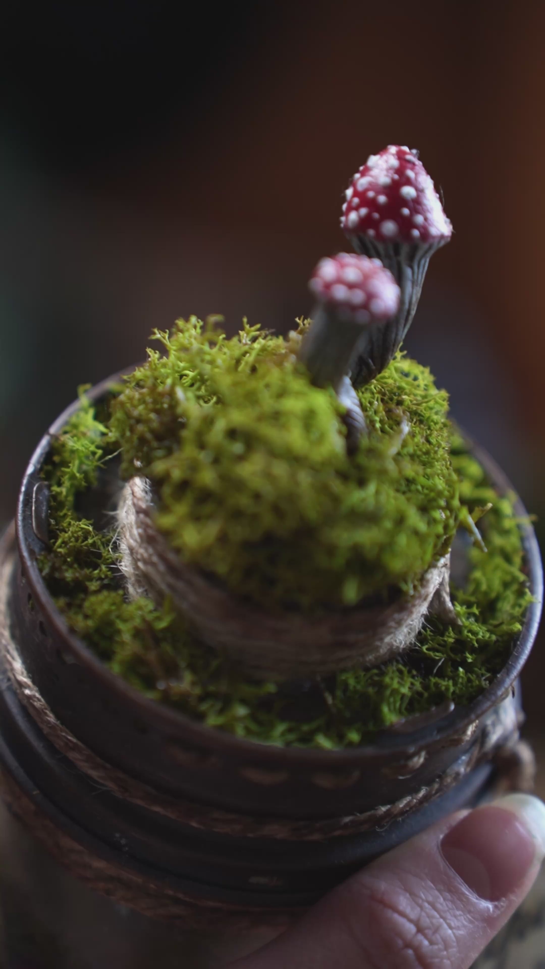 Bottle #086: Leaping Toadstools