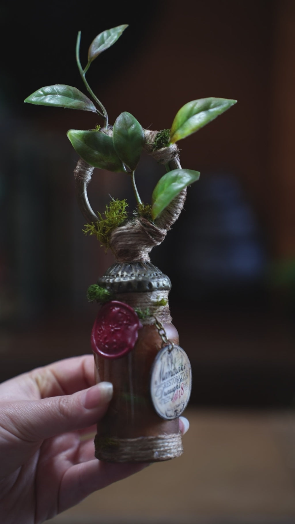 Pocket Potion #032: Mandrake Restorative Draught