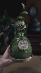 Bottle #57: Mandrake Restorative Draught