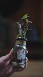 Pocket Potion #011: Venomous Plant Root