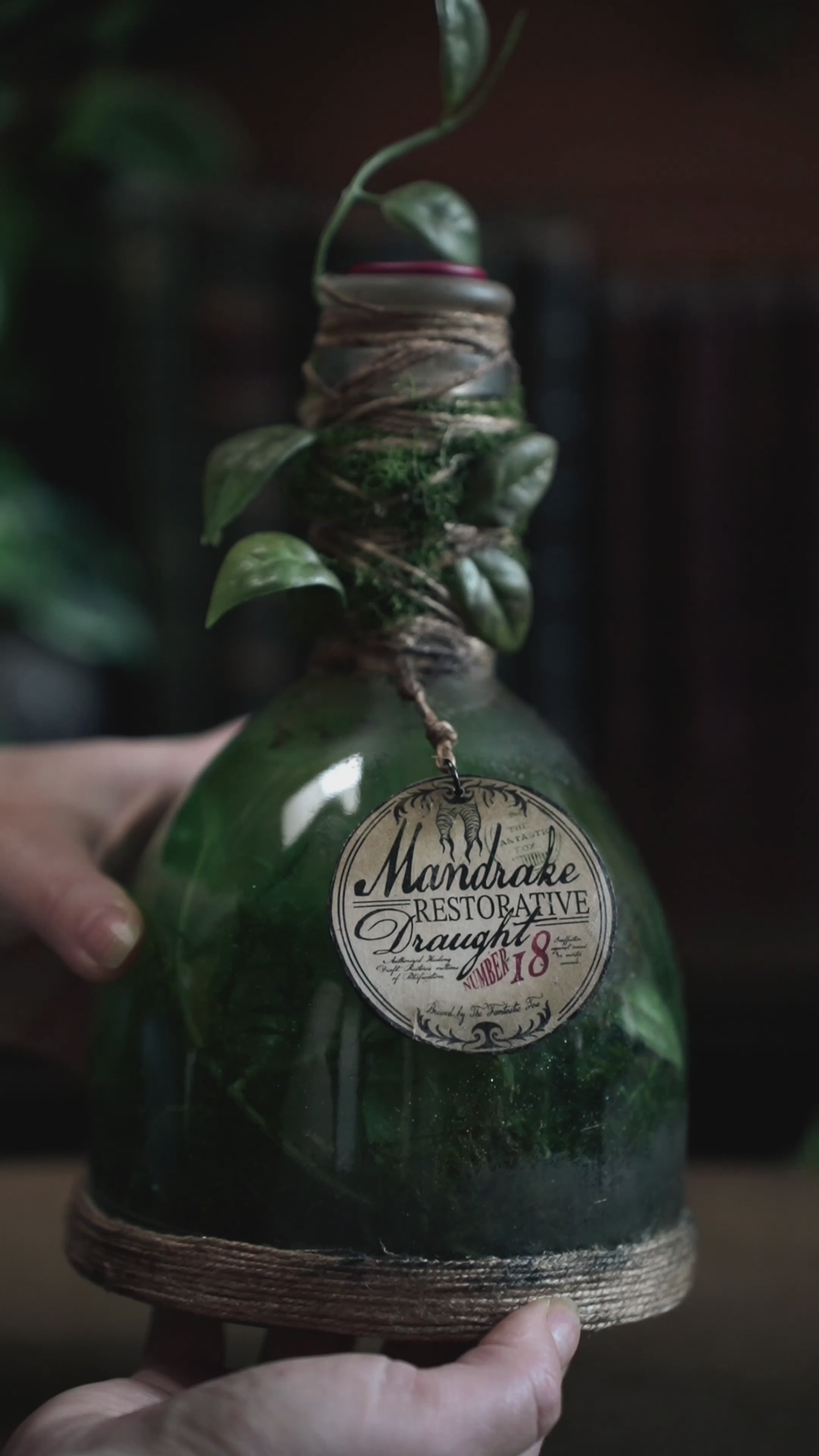 Bottle #26: Mandrake Restorative Draught