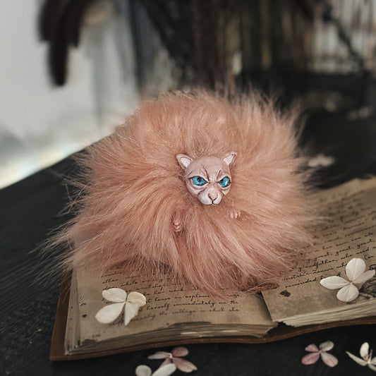 Pink Pygmy Puff