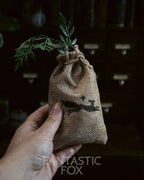 Specimens & Studies Collection VOL.1