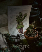 Specimens & Studies Collection VOL.1