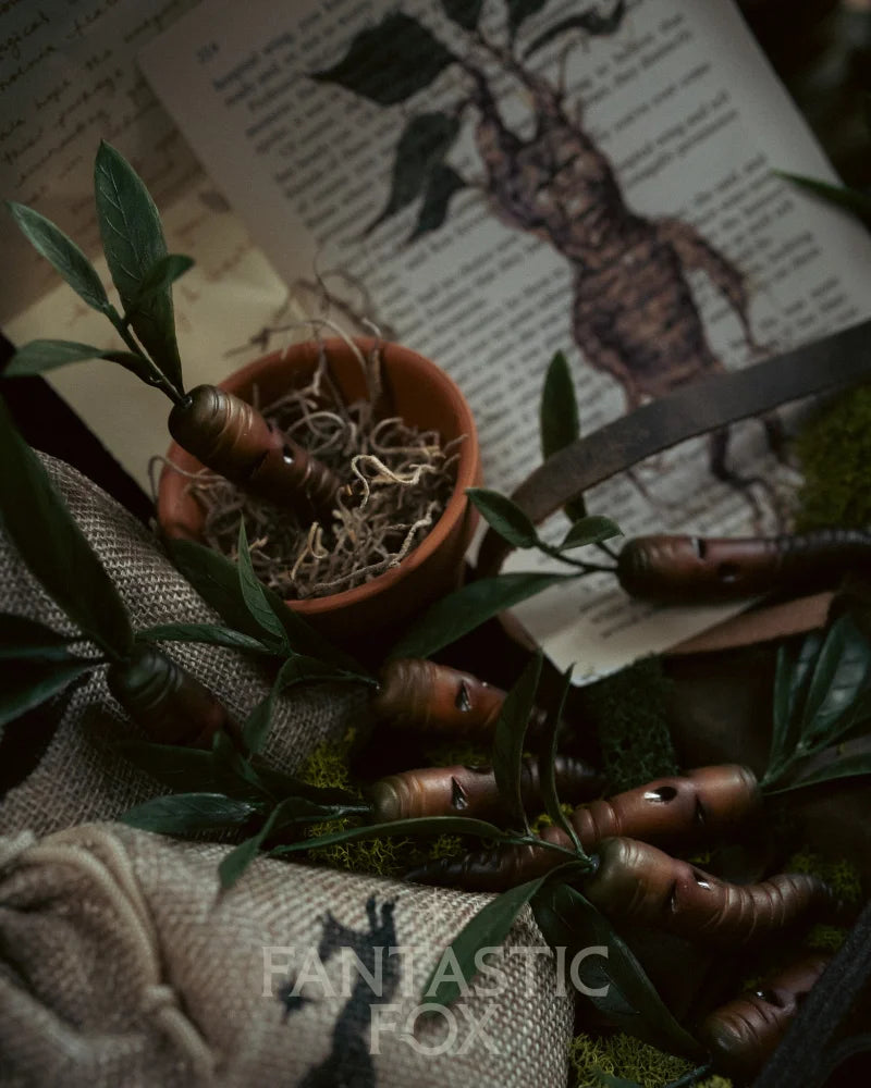 Specimens & Studies Collection VOL.1