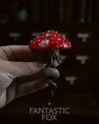 Specimens & Studies Collection VOL.1