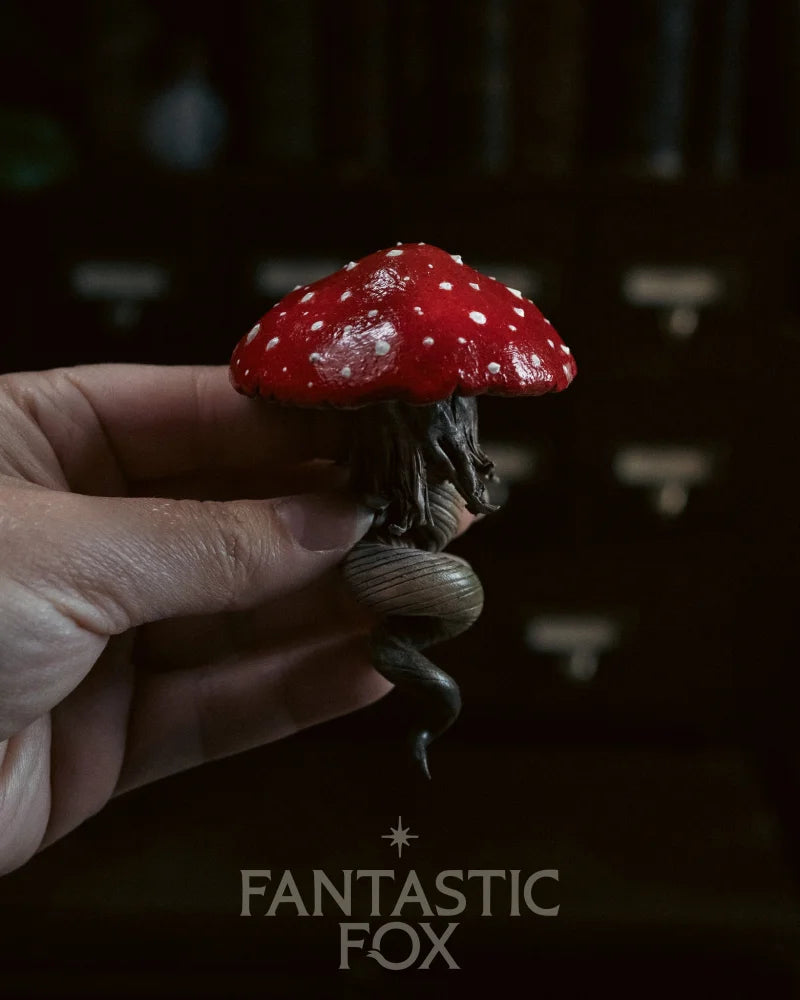 Specimens & Studies Collection VOL.1