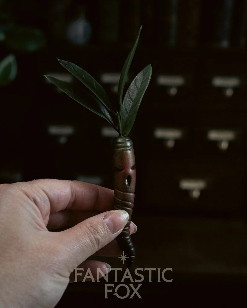 Specimens & Studies Collection VOL.1