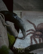 Specimens & Studies Collection VOL.1