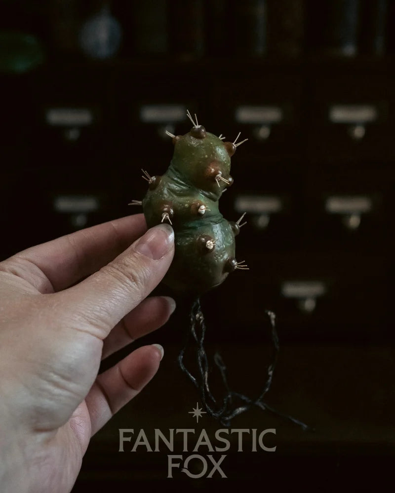 Specimens & Studies Collection VOL.1